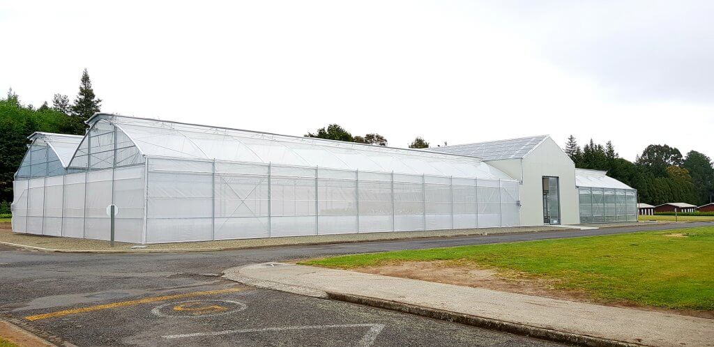 Multi-span greenhouse with transparent plastic film cover in open field