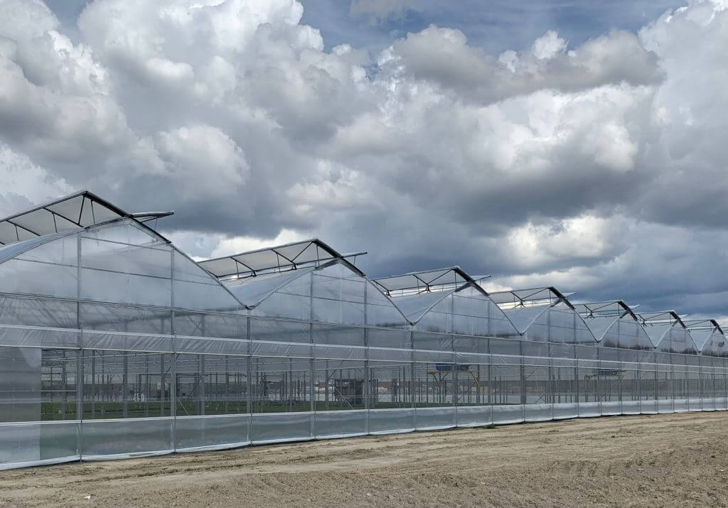 Greenhouse MultiArt exterior view showing modular steel structure