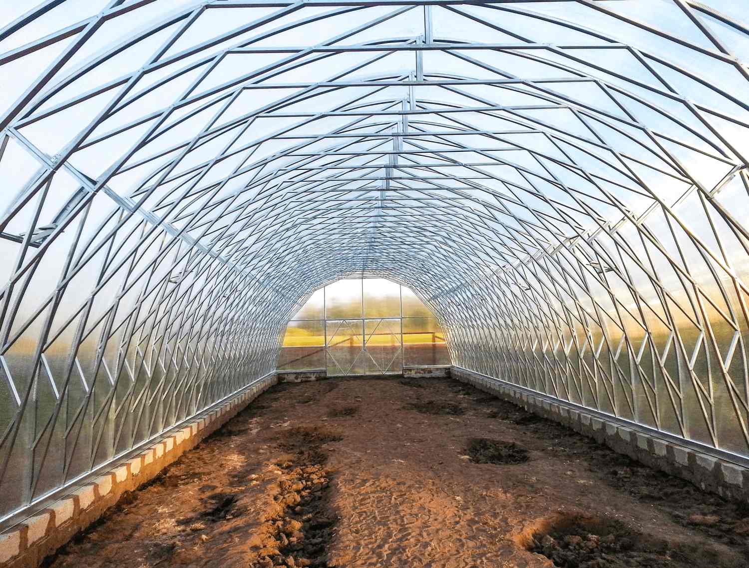 Tageslichtansicht des Gewächshauses Premium Tunnel L von innen