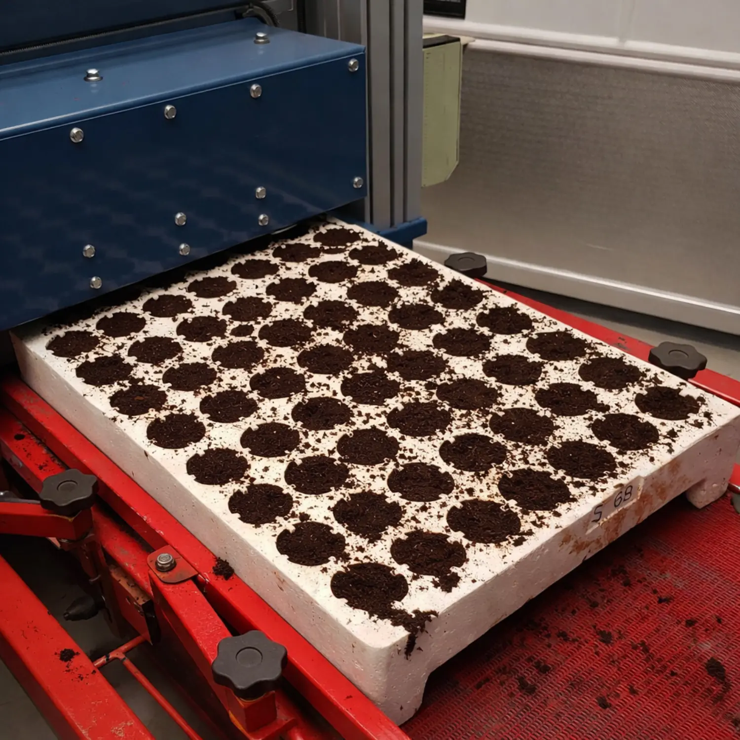 Tray filler machine installed in an industrial greenhouse for automated soil filling